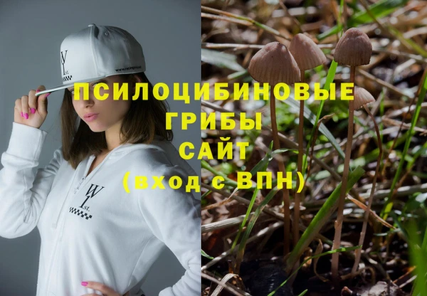 мдма Богданович