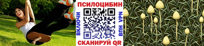 Купить  Красный Холм  Галлюциногенные грибы GOLDEN TEACHER 